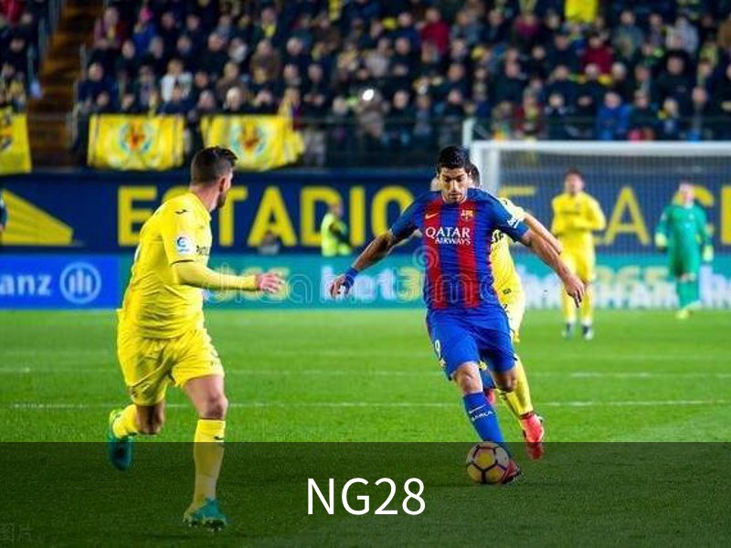 NG28概况